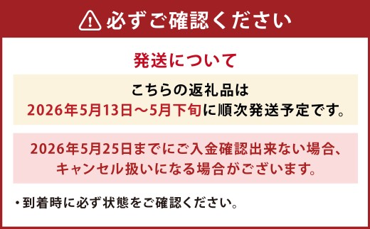 5月は母の月!母の月にぴったりなカーネーションを中心にしたブーケ!花瓶付きタイプ