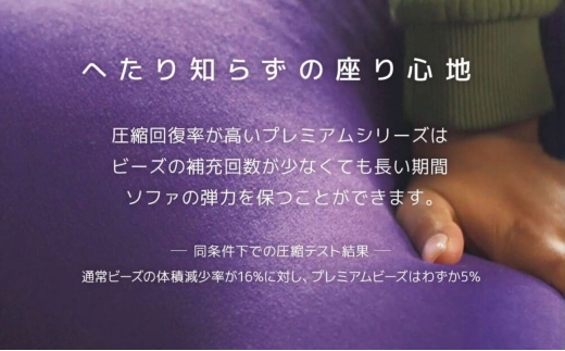 四日市ふるさと納税。へたりにくいプレミアムなYogiboを