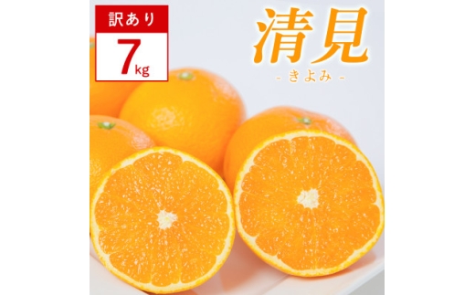 ＜訳あり＞清見 7kg 愛媛県 八幡浜市 西宇和地区 柔らかい果肉＜H25-379＞【1716928】