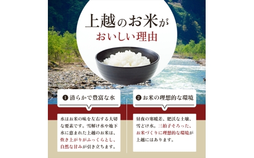 新潟県上越市のふるさと納税 上越市産 新潟 新之助 5kg 3か月定期便 しんのすけ お米 精米 米 ご飯 定期