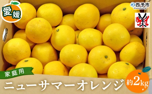 ＜愛媛県西予市産 ニューサマーオレンジ 家庭用 約2kg＞ 訳あり ワケアリ ご自宅用 果物 フルーツ ミカン 柑橘 日向夏 特産品 渡江から一歩を踏み出す会 愛媛県 西予市 【常温】『2026年4月～5月迄に順次出荷予定』 2534527 - 愛媛県西予市