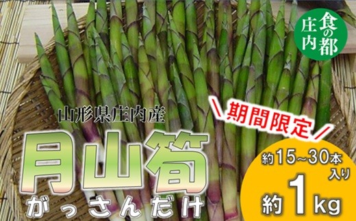 食の都庄内　庄内産　月山筍1kg　【期間限定】※5月上旬～5月下旬発送予定 2014331 - 山形県三川町