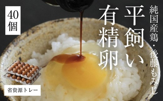 平飼い有精卵 省資源トレー 40個《西粟倉村》【株式会社点々】t-SS-AqDA