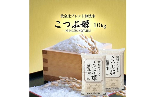 無洗米 こつぶ姫 5kg×2袋 計10kg　6月下旬 2502974 - 山形県遊佐町