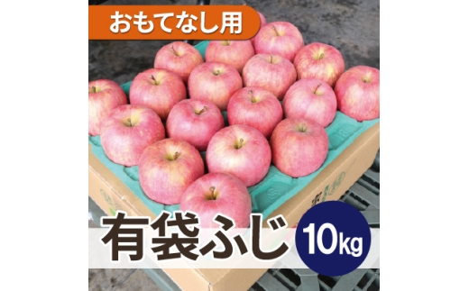 ＜26年6月出荷予定＞平均糖度13度以上! 有袋ふじ 約10kg おもてなし用 CA貯蔵 クール便【1613048】