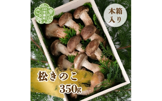 松きのこ 350g(木箱入り) 贈答用 松茸そっくりの姿にほのかな香りとシャキシャキ食感 世羅 A003-02