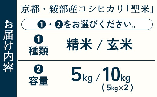 京都府綾部市のふるさと納税 「丹波美人」 玄米 10kg（5kg×2） | 米 お米 こしひかり 玄米 ごはん おこめ 国産 10キロ 京都府 綾部市