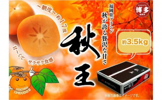 ＜2026年発送分・先行予約＞秋王　約3,5kg 　