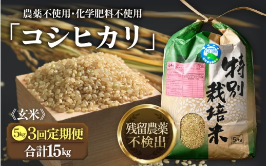【先行予約】【令和8年産 新米】定期便《3ヶ月連続お届け》コシヒカリ 玄米 5kg （計15kg）特別栽培米 農薬不使用 化学肥料不使用 ／ 残留農薬ゼロ 高品質 鮮度抜群 福井県産 ブランド米 ※2026年10月上旬以降順次発送 [aw063-d004]