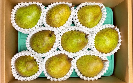 西洋梨（ラ・フランス）３ｋｇ　特秀品　0065-2608 314208 - 山形県上山市