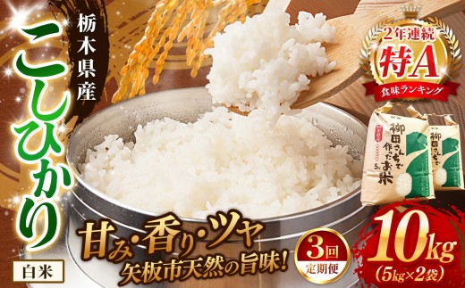 [定期便3回]矢板市特別栽培米 こしひかり 白米 5kg×2P | お米 米 こめ 白米 玄米 にじのきらめき コシヒカリ こしひかり 美味しい お弁当 選べる エコ スマート 環境 手間暇 土づくり  ふるさと 納税 栃木県 矢板市 2322674 - 栃木県矢板市