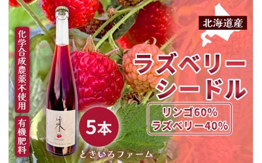 【北海道産 ラズベリー りんご】ラズベリーシードル 5本