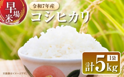 2週間以内に発送 早場米 令和7年産 コシヒカリ 計5kg 米 期間限定 日南市産 お米 ご飯 ライス 国産 人気 食品 精米 白米 こしひかり 有洗米 おすすめ おにぎり お弁当 炊き込みご飯 雑炊 ギフト 贈り物 産地直送 宮崎県 日南市 送料無料_CA79-25 372504 - 宮崎県日南市