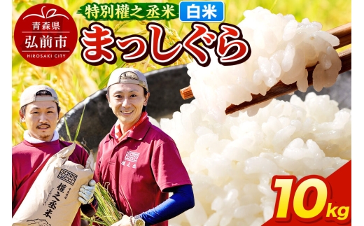 【寄附金額見直しました】まっしぐら 10kg ［白米］ 特別權之丞米 青森県産 令和7年産 [お米 東北 精米 青森 青森県産 白米 米 ブランド米]