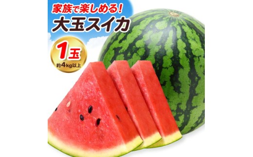 【先行予約】大玉すいか 1玉 約4kg 株式会社エフビーネット《5月上旬-7月中旬頃出荷》熊本県 菊池市 すいか スイカ 大玉 熊本県産 フルーツ