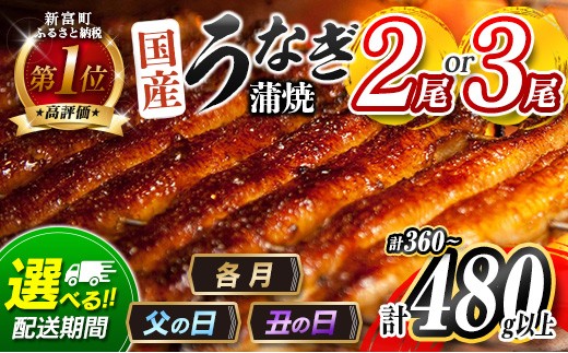 ＜丑の日までにお届け＞高評価!! うなぎ 鰻楽 国産 蒲焼 2尾 人気 無頭 計360g以上 おすすめ 冷凍 簡単調理 個包装 鰻 魚介 贈答品 ギフト 贈り物【B555-ushi】