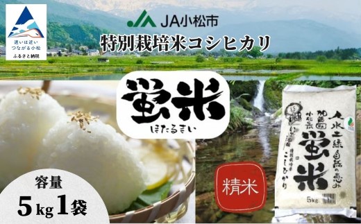 【特別栽培米】 コシヒカリ 精米 蛍米 5kg コメ こめ お米 5kg 米5kg おこめ 白米 こしひかり コシヒカリ 令和7年産 R7年産 2025年産 石川県産 小松市産 | 石川県 小松市 【JA小松市】