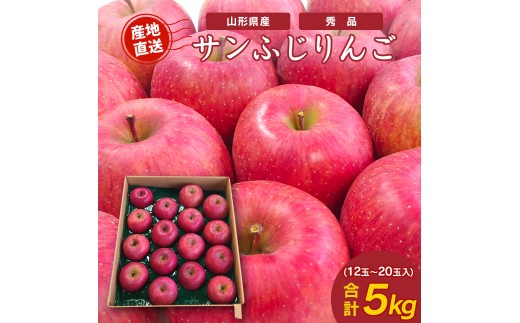 《先行予約》 令和8年産 りんご サンふじ 秀品 5kg（12 - 20玉） 山形県産 【2026年11月頃より順次発送予定】2026年産 山形産　015-B-JF002 1075828 - 山形県寒河江市
