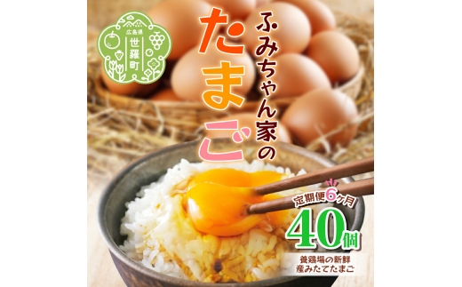 【定期便6カ月】ふみちゃん家のたまご 40個入《合計6回発送》広島県 卵 たまご タマゴ 玉子 新鮮 世羅 生みたて卵 卵かけごはん だし巻き スイーツ 定期便 TKG A027-06