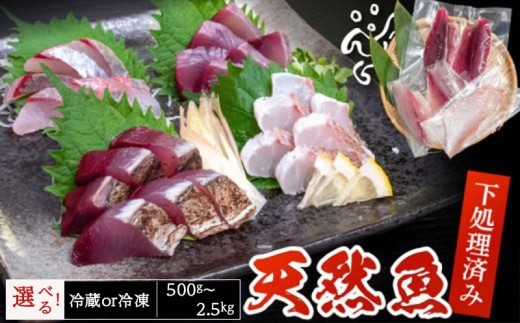 【選べる容量】天然 鮮魚 詰め合わせ 朝獲れ直送 下処理済み 2~6種 500g~2.5kg 冷蔵 刺身 魚種お任せ 水揚げ 海鮮 魚介 産地直送 新鮮 魚 鮮魚ボックス