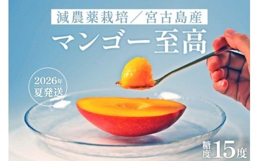 《先行予約》沖縄県宮古島産 減農薬栽培マンゴー 1kg【最良品】｜贈答用・糖度15度以上！｜琉球マルシェ 810744 - 沖縄県宮古島市