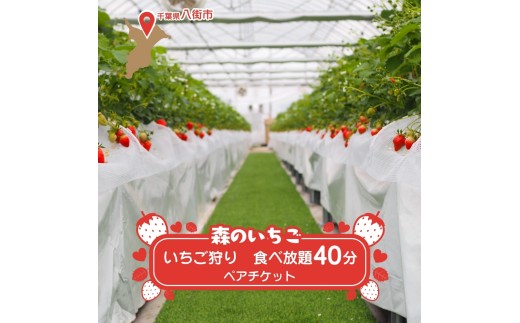 八街 森のいちごファームのいちご狩り 40分食べ放題 ペアチケット いちご イチゴ 苺 いちご狩り