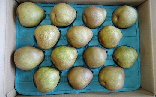 西洋梨（ラ・フランス）５ｋｇ　１２～１４玉　ご家庭用　0042-2609 1317490 - 山形県上山市