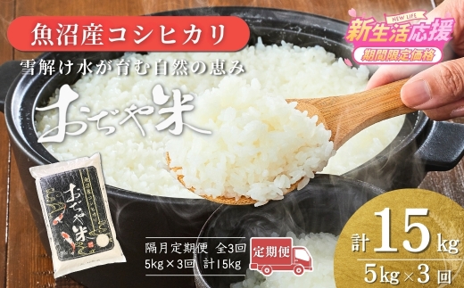 【全3回定期便 コシヒカリ】 令和7年産 新潟県 魚沼産コシヒカリ「おぢや米」合計15kg(5kg×1袋×隔月お届け全3回) 徹底した品質管理 新潟産コシヒカリ JA魚沼 特A評価 魚沼産 | おぢや米 新潟県産コシヒカリ お米 米 こしひかり 白米 精米 ブランド米 特A評価 注文後に精米する新鮮発送！【0002-JA15DB00-02】