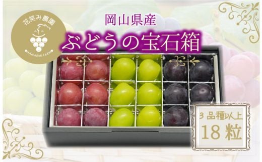 ＜2026年先行受付＞岡山　花笑み農園『ブドウの宝石箱』3種以上(18粒入り)　3M-宝18_ぶどう 宝石箱 18粒 詰め合わせ 食べ比べ フルーツ 果物 送料無料 岡山県 津山市【1629379】