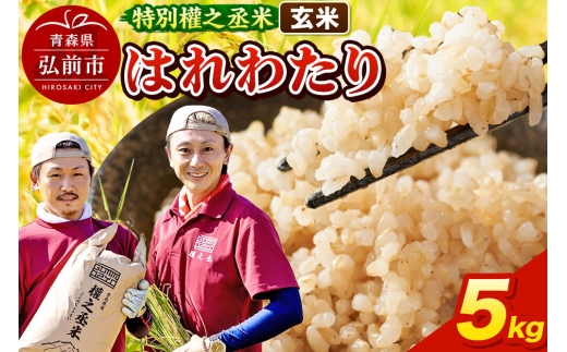 【寄附金額見直しました】はれわたり 5kg ［玄米］ 特別權之丞米 青森県産 令和7年産 [お米 東北 玄米 青森 青森県産 米 ブランド米] 2424529 - 青森県弘前市