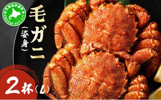 毛ガニ（姿身）Lサイズ 2尾 ogm-018