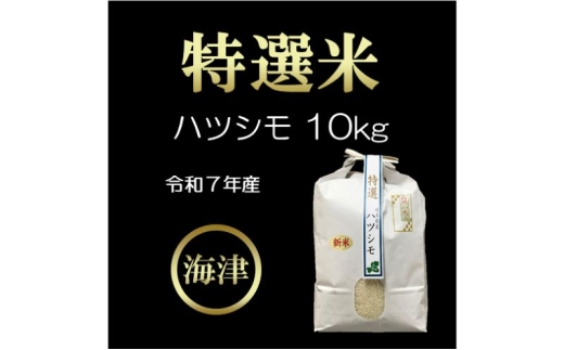 [№5533-0451]【オンライン決済限定】【令和7年度産/白米】特選米ハツシモ (10kg)