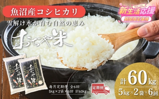 【6か月定期便 コシヒカリ】 令和7年産 新潟県 魚沼産コシヒカリ「おぢや米」合計60kg(5kg×2袋×毎月お届け全6回) 徹底した品質管理 新潟産コシヒカリ JA魚沼 特A評価 魚沼産 | おぢや米 新潟県産コシヒカリ お米 米 こしひかり 白米 精米 ブランド米 特A評価 注文後に精米する新鮮発送！【0002-JA08DB00-04】
