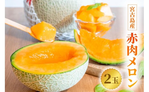 【とみお農園｜農家直送】宮古島産 赤肉メロン 2玉（1玉2kg前後・糖度14度以上）2026年春発送（TN04）