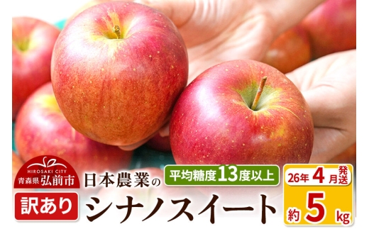 【26年4月クール便発送】りんご【CA貯蔵】平均糖度13度以上！ シナノスイート 約5kg 訳あり クール便 青森 果物 フルーツ 林檎 リンゴ くだもの 不揃い 規格外 [リンゴ 林檎 アップル 果物 産地直送 フルーツ]