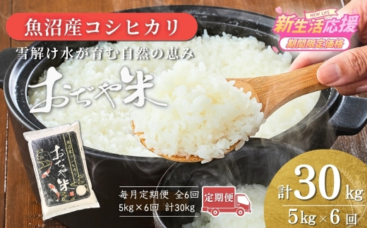 【6か月定期便 コシヒカリ】 令和7年産 新潟県 魚沼産コシヒカリ「おぢや米」合計30kg(5kg×1袋×毎月お届け全6回) 徹底した品質管理 新潟産コシヒカリ JA魚沼 特A評価 魚沼産 | おぢや米 新潟県産コシヒカリ お米 米 こしひかり 白米 精米 ブランド米 特A評価 注文後に精米する新鮮発送！【0002-JA05DB00-04】