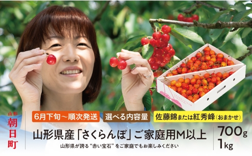 ＜ 先行予約 ＞ 山形県産 さくらんぼ （ 佐藤錦 ・ 紅秀峰 ） ご家庭用 M以上 選べる容量 700g ・ 1kg 【2026年6月中旬から順次発送】 山形県 果物 サクランボ フルーツ 初夏 夏 送料無料