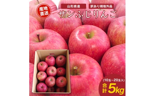 《先行予約》令和8年産 【ご家庭用】りんご サンふじ 5kg （10玉 - 23玉）山形県産 【2026年11月下旬頃から順次発送予定】2026年産 山形産　013-B-JF029