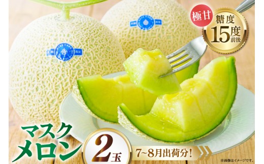 AJ651 【令和8年7-8月出荷分】 堀農園 マスクメロン 2玉 [ メロン めろん 青肉メロン 黄緑 果物 フルーツ おいしい 甘い 堀農園 長崎県 島原市 ] 