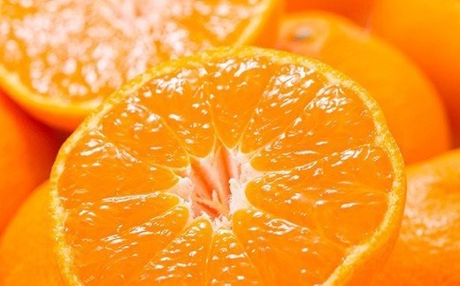 【予約受付】ブランド有田みかん　秀品 約2.8kg/サイズお任せ　※2026年10月中旬～2027年1月中旬頃に順次発送予定（お届け日指定不可）　紀伊国屋文左衛門本舗【sutb144】