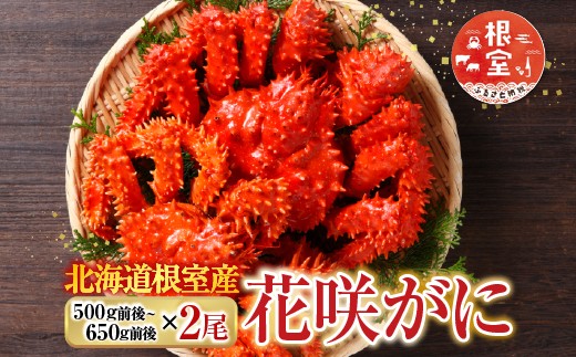 B-76028 【北海道根室産】花咲かに500g前後～650g前後×2尾