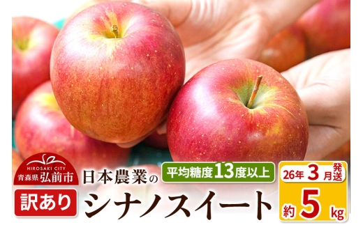 【26年3月クール便発送】りんご 平均糖度13度以上！ シナノスイート 約5kg 訳あり クール便 青森 果物 フルーツ 林檎 リンゴ くだもの 不揃い 規格外 [リンゴ 林檎 アップル 果物 産地直送 フルーツ]