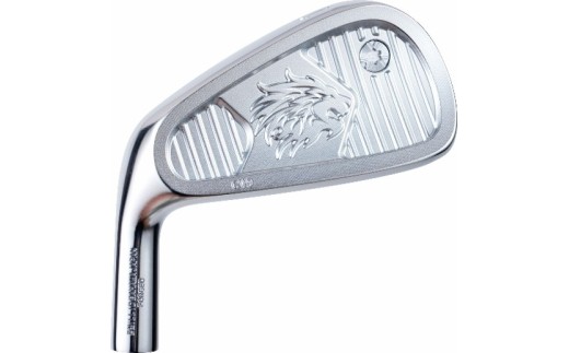 ゴルフ ゴルフクラブ エミリッドバハマCV9アイアンセット フジクラMCI2025 レフティ(左用) オーダーメイド アイズファクトリー｜F69