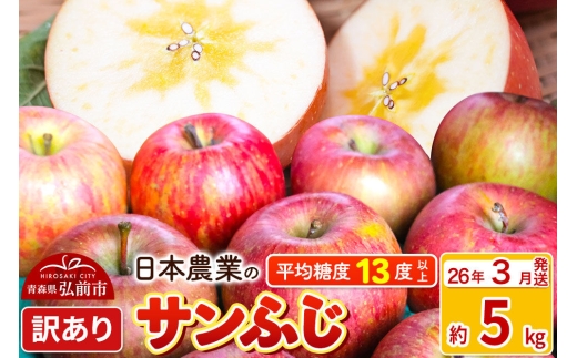 【寄附額見直しました】【26年3月発送】りんご 平均糖度13度以上！ サンふじ 約5kg 訳あり クール便 青森 果物 フルーツ 林檎 リンゴ くだもの 不揃い 規格外 [りんご サンふじ 訳あり リンゴ 林檎 アップル 果物 産地直送 フルーツ]