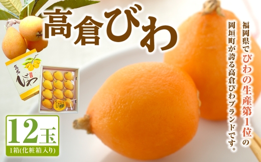 高倉びわ 化粧箱 （ 12玉入り ） 1箱 びわ ビワ フルーツ 果物 くだもの 【 先行予約 】【2026年5月上旬～6月上旬発送予定】 2536276 - 福岡県岡垣町