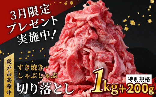 ★3月受付限定！の特別規格★【2026年5月発送！】国産ブランド牛 切り落とし 1.2Ｋｇ (200g×6） 小分け 段戸山高原牛 幻 牛 国産 牛肉 牛 スライス 地域 限定 小分け 大満足 赤身 肉 数量限定 肉 牛肉切り落とし 牛切り落とし 国産牛 ブランド牛 10000円 10,000円 -039