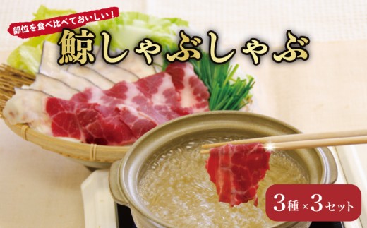 くじら しゃぶしゃぶ 3種盛り 3セット 鯨肉 タン 舌 さえずり 皮 鍋 だし 鯨 クジラ くじら料理 くじら肉 クジラ肉 冷凍 鍋だし 山賀 下関 山口