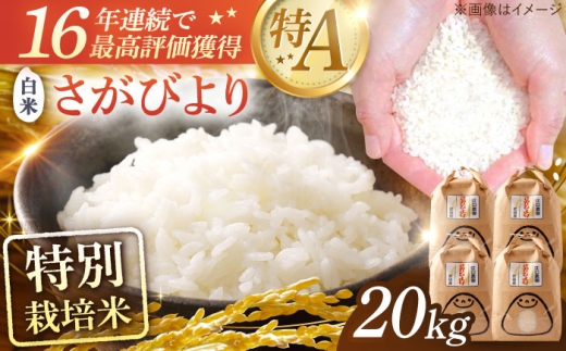 ＜16年連続最高評価特A＞特別栽培米 さがびより 白米 20kg（5kg×4袋） 配送前精米/江口農園 [UBF033]