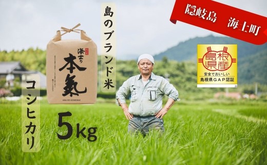 【令和7年度産 本氣米5kg：コシヒカリ】甘くてもっちり島のブランド米 本氣米 コシヒカリ お米 精米 白米 弁当 ごはん ご飯 おにぎり  ギフト