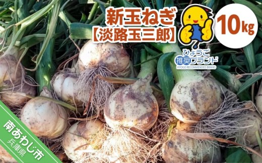 新玉ねぎ（淡路玉三郎）10kg